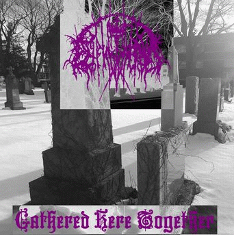 Gathered Here Together